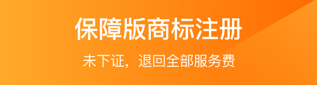 保障版商标注册